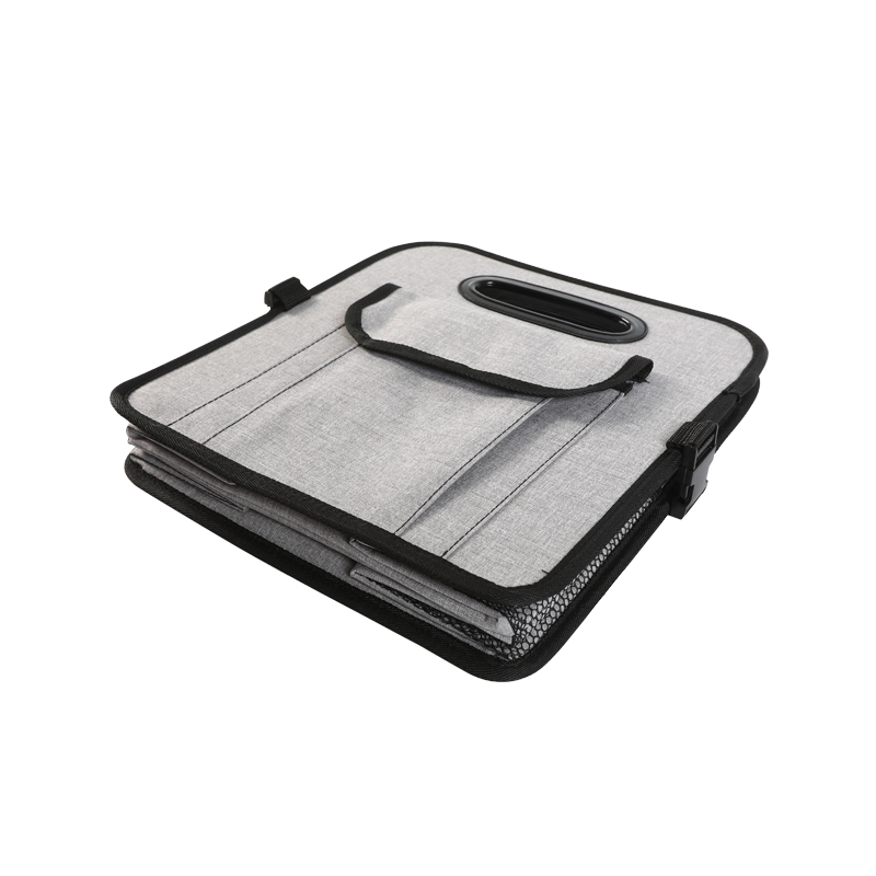 Ice Pack Trunk Organizer With Activities